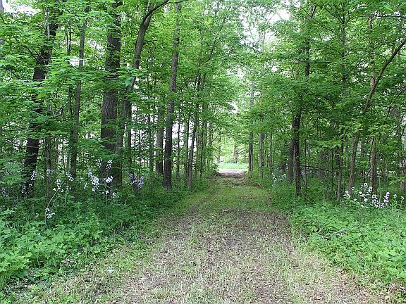 Drive into Hideaway Lane