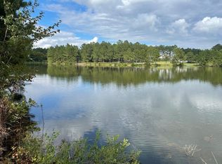 359 Stillwater Trl, Broxton, GA 31519