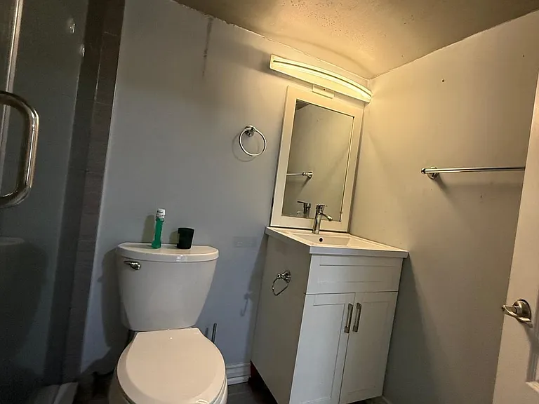 146 Brenda Cres #BASEMENT — Photo 9