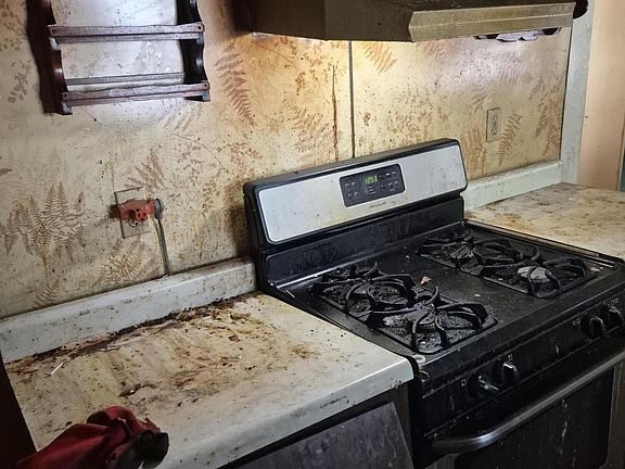4th image of 903 Ames St