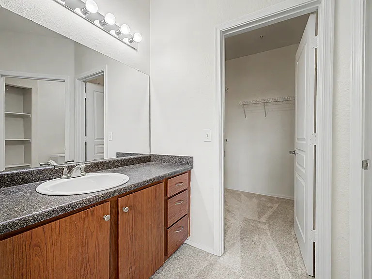 Master Bathroom pic 1