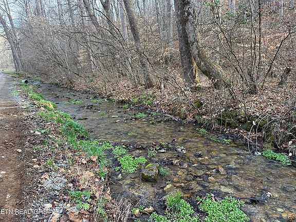 2nd image of 2144 Yellow Branch Rd