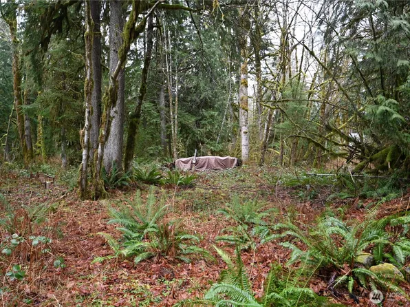 63645 NE 190th Street, Baring, WA 98224