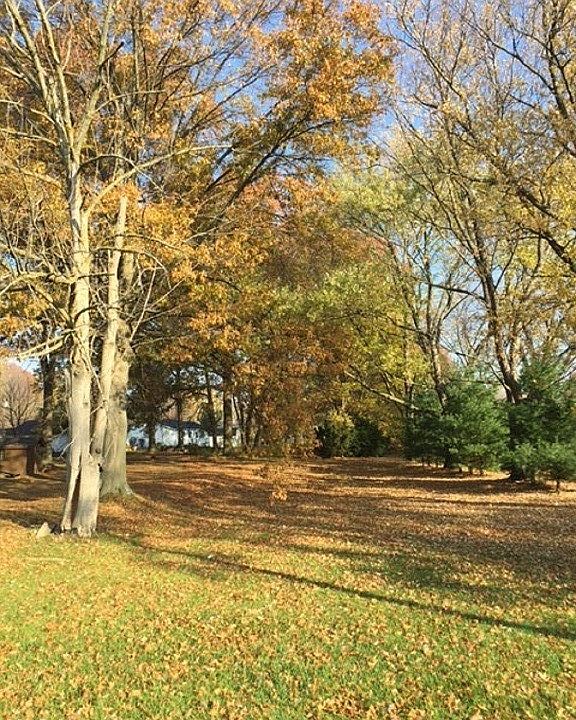 2nd image of Cooper Foster Park Rd