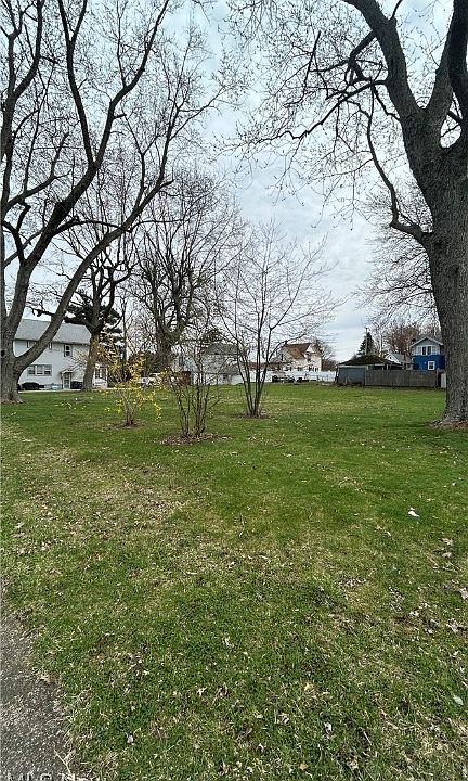 2nd image of V/l W #12