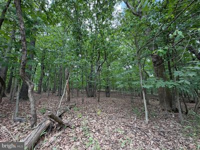 Logger Dr Lot 82, Gore, VA, 22637