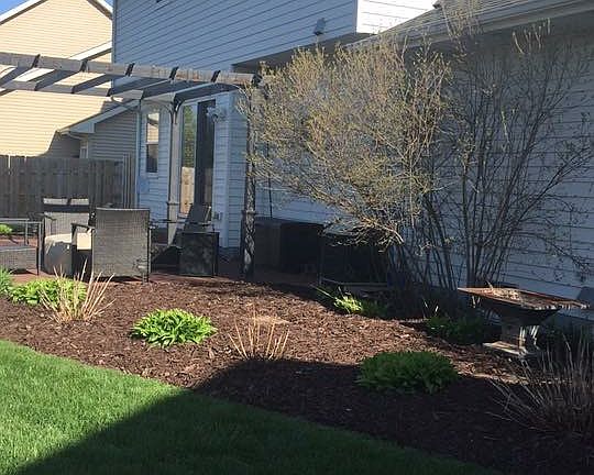  Cement patio with pergola. 