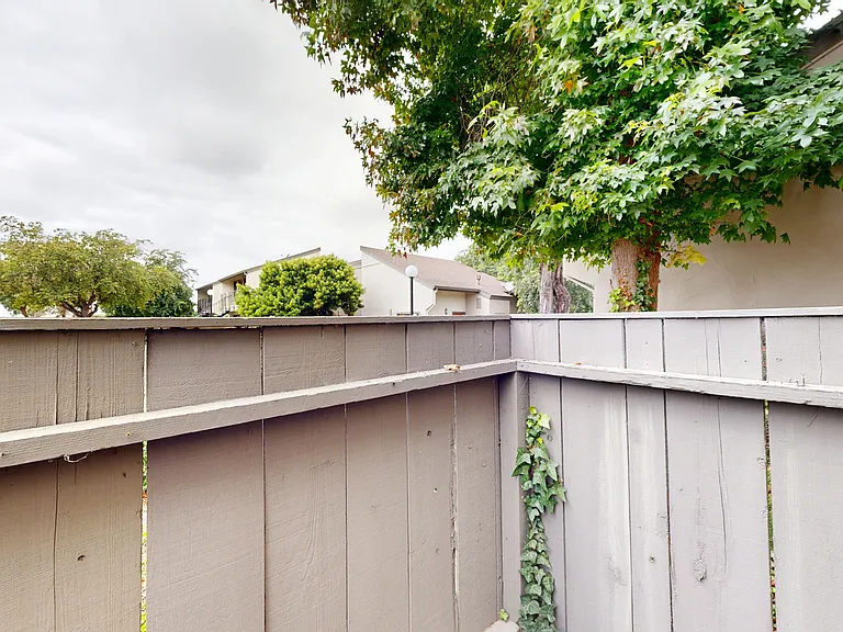 Laurel Tree — Photo 38
