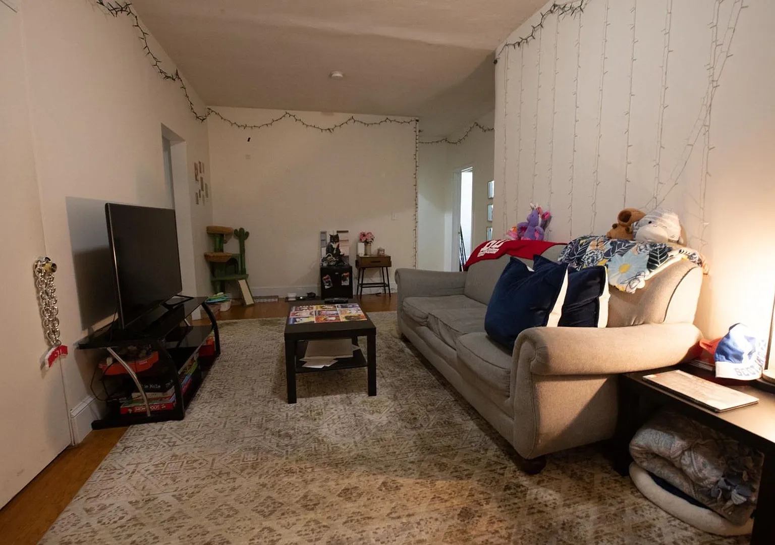 4 Bed, 1 Bath - Two Months Free - Steps From Boston University (Bu) And Coolidge Corner — Photo 1