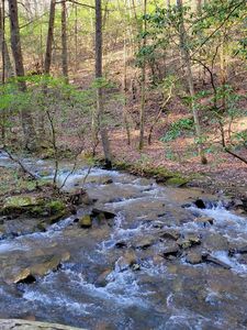 413 Tall Tree Trl, Dunlap, TN, 37327