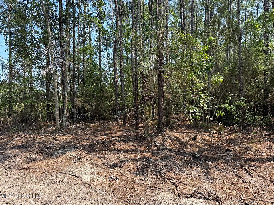 2nd image of 23415 Highway 603