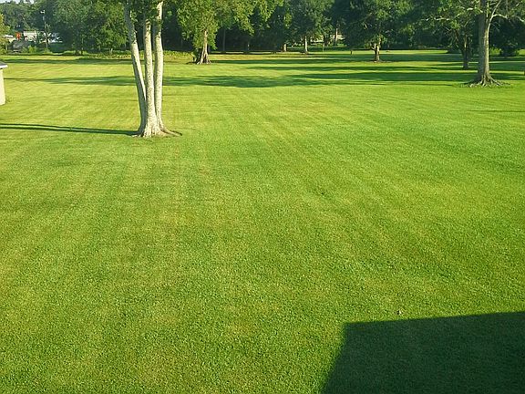 5.4acres mature trees