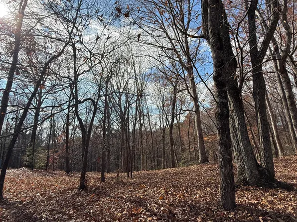 0 Orchard Rd, Jasper, GA 30143