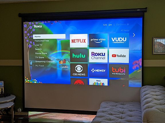 The tenant can use the HD projector and pull-down screen in the living room. The tenant would have to bring their own audio equipment and replace the projector bulb as required. Furniture not included.