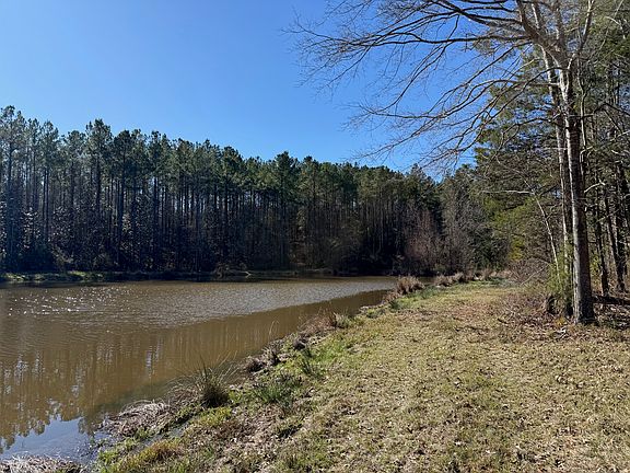 3rd image of Magnolia Al Magnolia Al