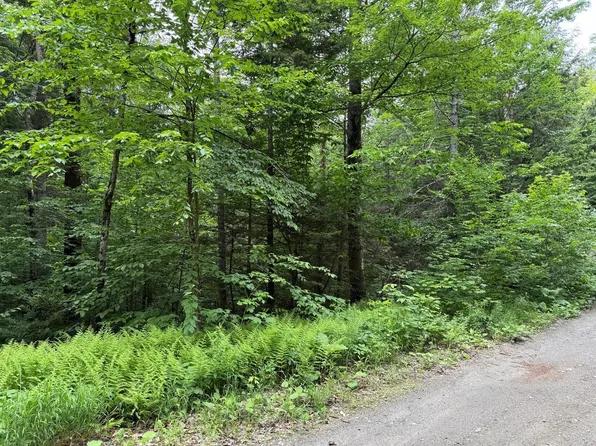 219 Woodbury Mountain Road, Calais, VT 05648