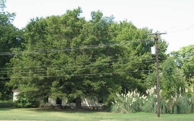 2nd image of 4900 S Highway 81