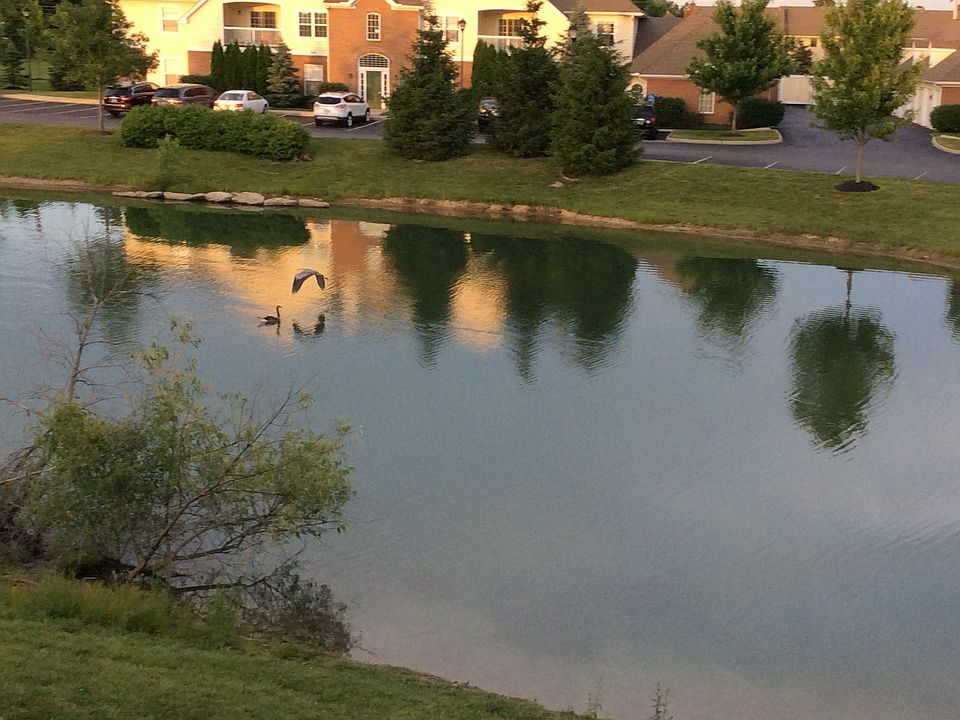 2nd image of 3836 Carberry Dr