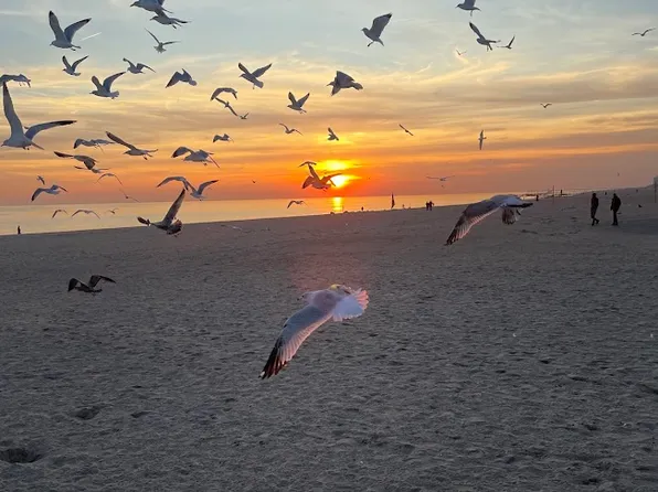 2934 Brighton Fourth Street image 28 of 29