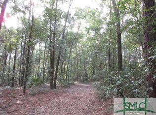22633 Hwy 144, Richmond Hill, GA 31324