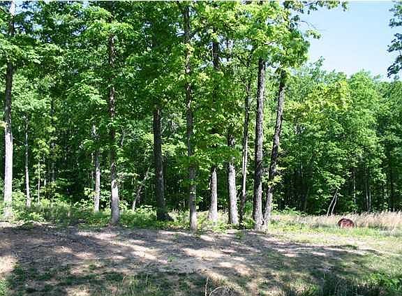 2nd image of 0 Poplar Way #6