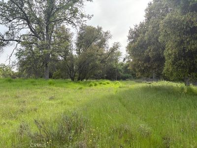 0 Blackfoot Rd LOT 278, Coarsegold, CA, 93614