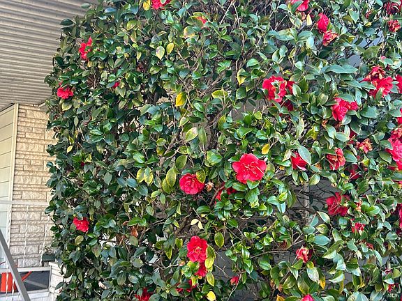 5th image of 41 Plymouth Way