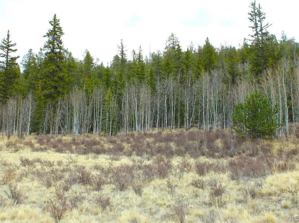 580 Ouray Trail LOT 90, Como, CO 80432