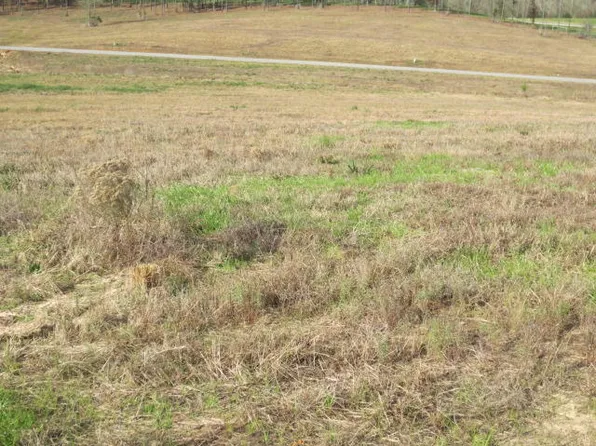 113 Joan Dr, Ellisville, MS 39437
