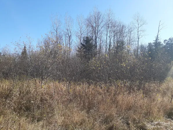 Map 301 Lot 90 Owlsboro Road, Dexter, ME 04930