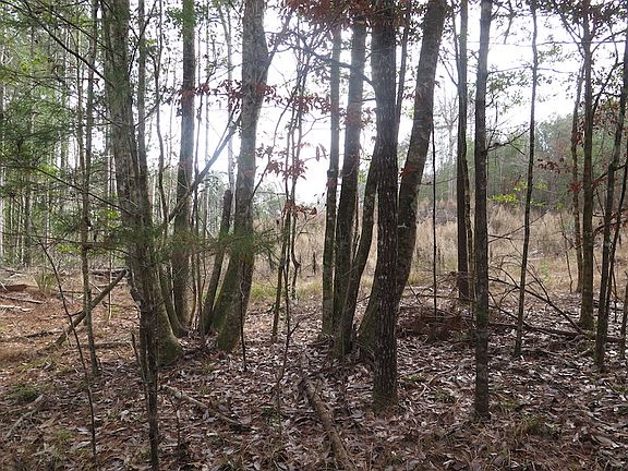 5th image of McFarland Rd