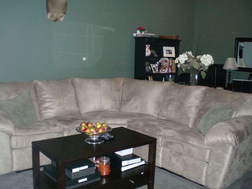Spacious Den