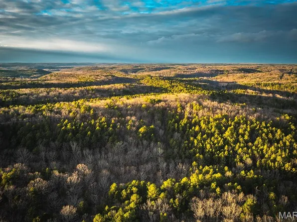 56AC Slaughter Rd, Licking, MO 65542