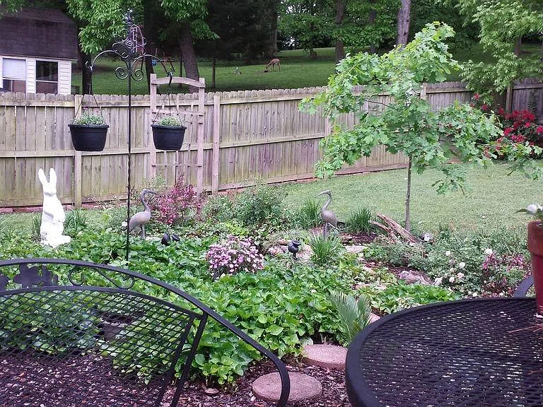 231 Riverwood Dr — Photo 12