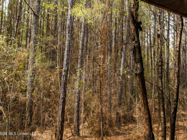 Church St, Summit, MS 39666