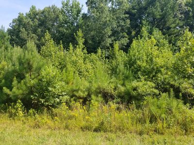 12 Arbor Dr, Roanoke Rapids, NC, 27870