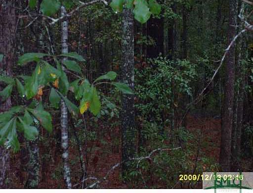 2nd image of 0 4Th Street Ext