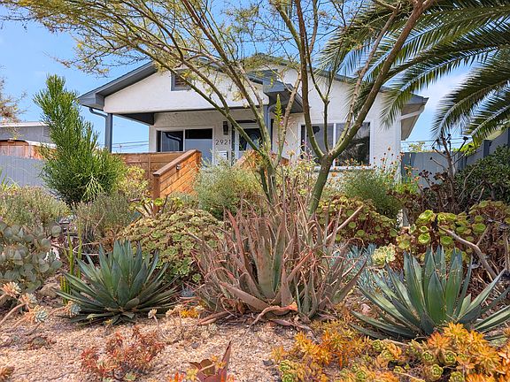 Front yard