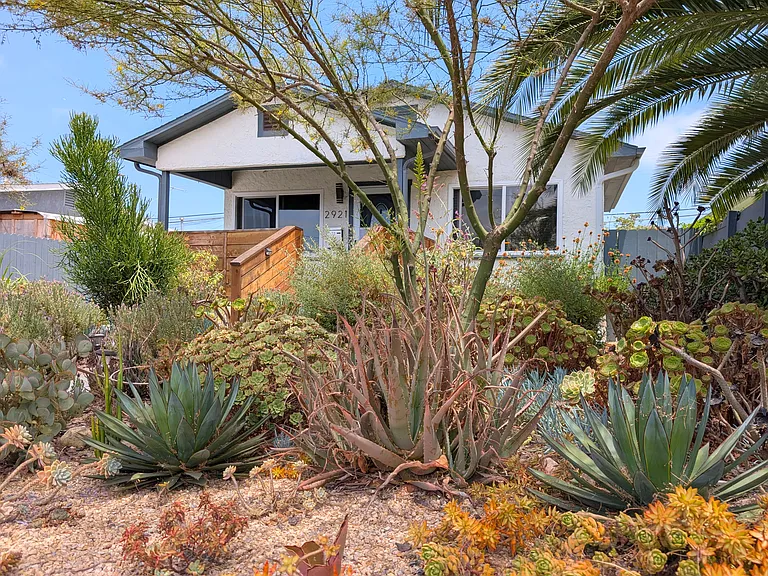 Front yard