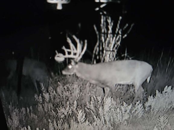 2nd image of County Rd Lot Wp001