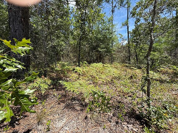 5th image of LOT 38 Clearwater Dr