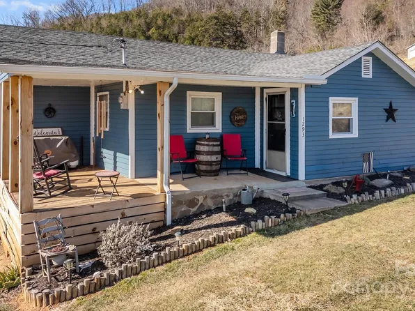 1293 Chambers Mountain Rd, Clyde, NC 28721