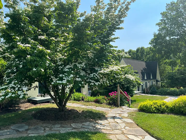 375 Weaverville Rd #3 — Photo 15