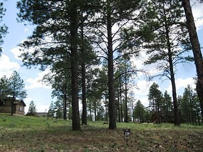 1st image of 1951 E Bare Oak Loop