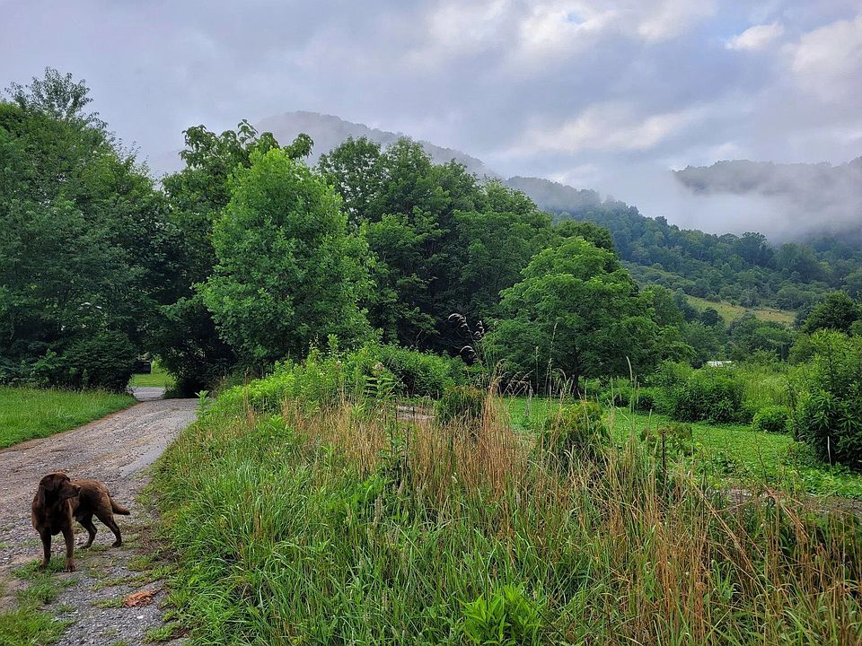3691 Max Patch Rd, Clyde, NC 28721 Zillow
