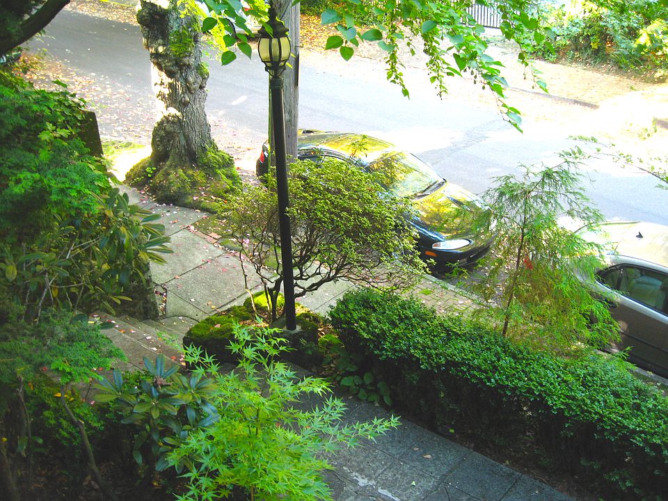 2nd image of 2036 SW Main St