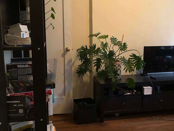5th image of 437 E 74th St APT 3B