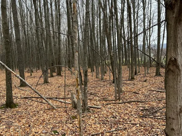 0 Webster St, Malone, NY 12953