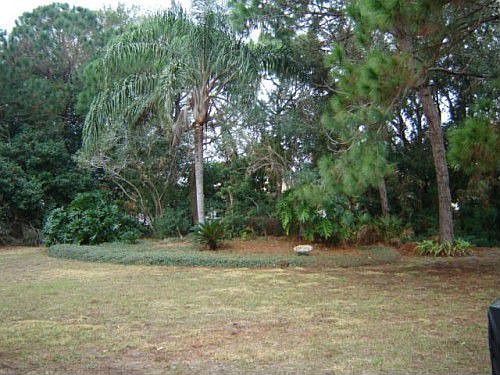 1st image of 704 Plum Tree Ln