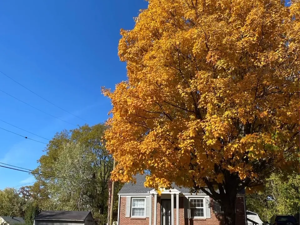 1304 Mercury Dr